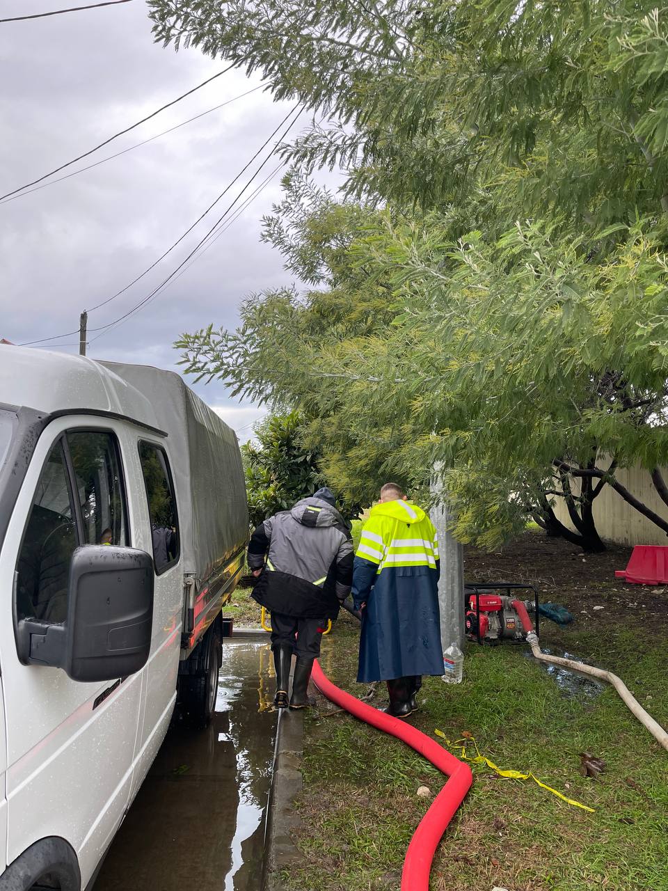 В Олимпийском парке во время обрезки хвойных обнаружили интересный артефакт
